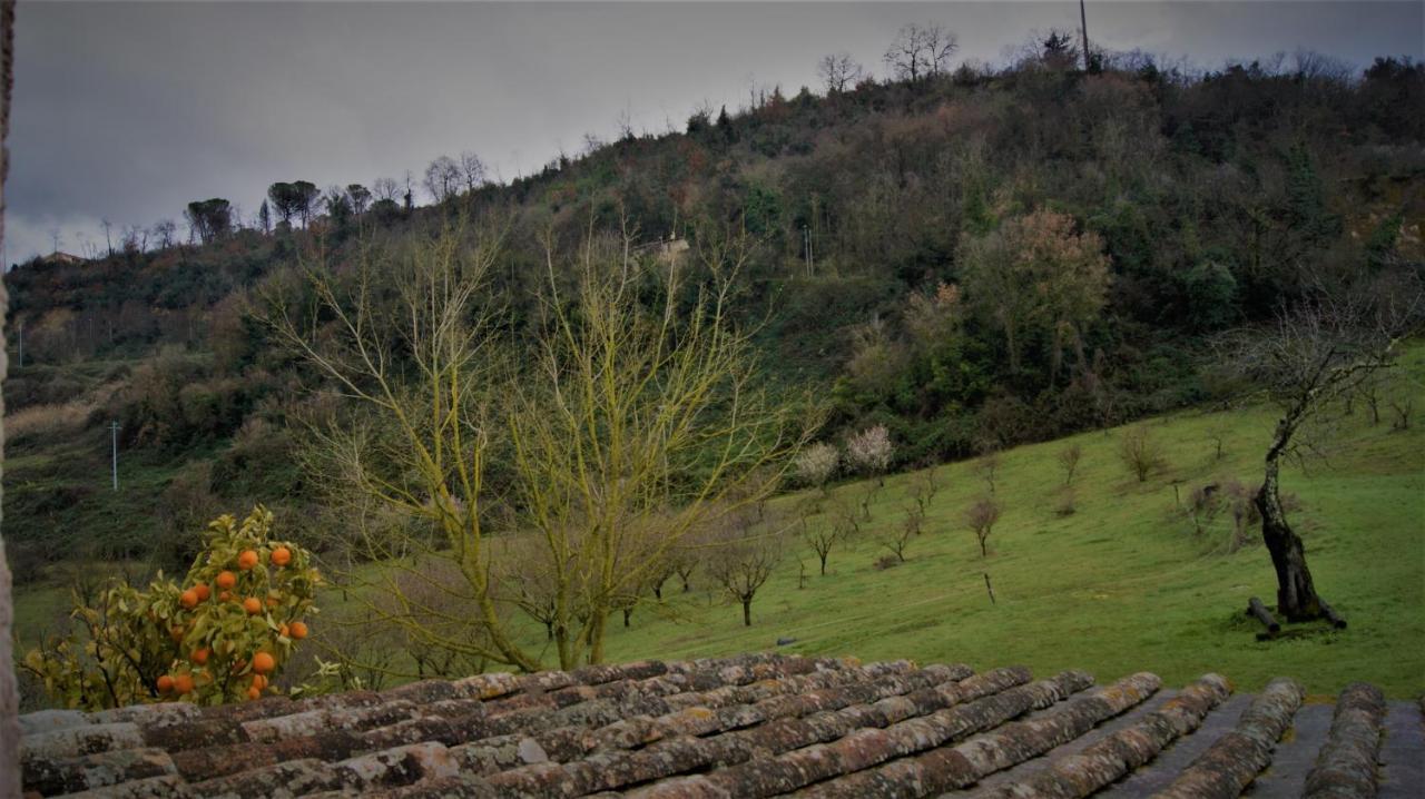 Agriturismo Monterone Ponzano Romano المظهر الخارجي الصورة