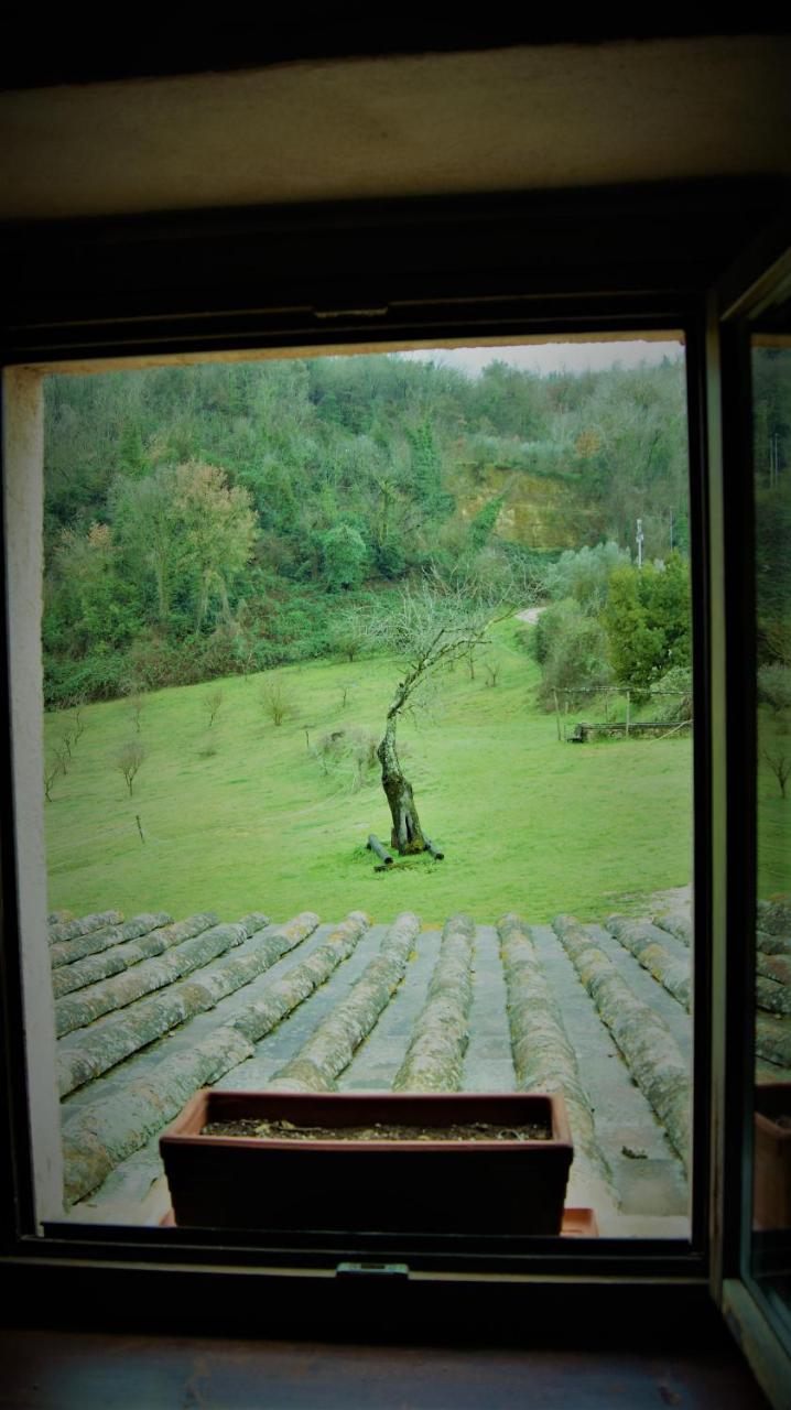 Agriturismo Monterone Ponzano Romano المظهر الخارجي الصورة
